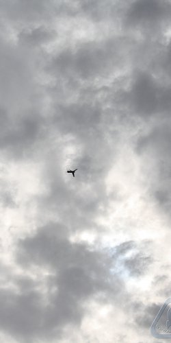 2012 Koprník MirekTopinka